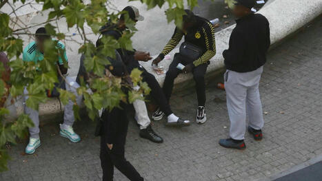 Narcotrafic : pourquoi la profession d’avocat s’oppose à la proposition de loi ...