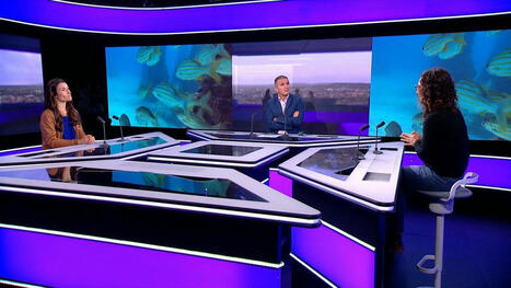 Exploitation des grands fonds marins : la course destructrice des États-Unis - L'Entretien de l'intelligence économique ...