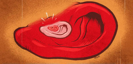 Paragon : l’iPhone d’un journaliste européen a bien été infecté par le logiciel espion ...