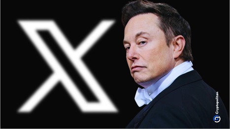 Elon Musk dit que X lance «Xchat» avec le cryptage de grade Bitcoin| Cryptopolite ...