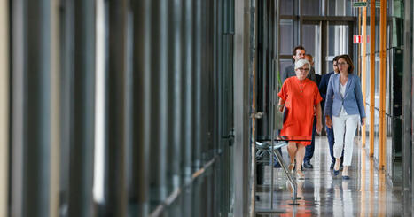 Fraude fiscale et sociale : le nouveau plan de lutte que le gouvernement veut proposer au Parlement ...